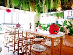 -Husky Go! 哈士奇体验馆·宠物咖啡厅狗咖