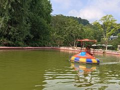 -杭州少年儿童公园