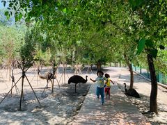 -新疆天山野生动物园