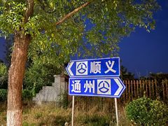 -东郊湿地公园