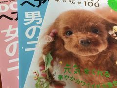 -Oh My Dog宠物沙龙(伊珊娜皮毛护理店)