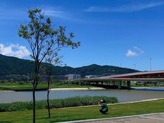 -芒洲湿地公园