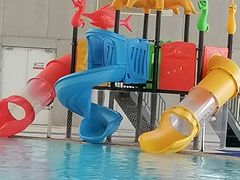 -广西体育中心-游泳馆