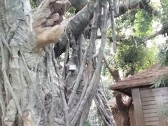 android_upload_pic-龙达温泉生态城