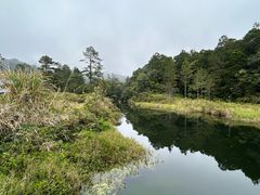 -海南热带雨林国家公园吊罗山景区