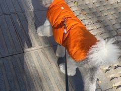 -宠颐生动物医院·心脏科·保险定点(锦阳分院)