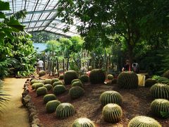-北京呀路古热带植物园