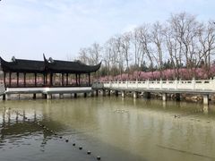 -上海海湾国家森林公园