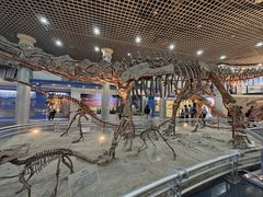 -国家自然博物馆