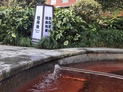 -杭州第一世界大酒店·云曼温泉