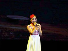 -陕北民歌大舞台