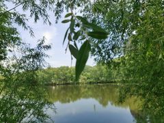 -长白岛森林公园