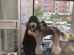 -宠颐生动物医院·心脏科·保险定点(锦阳分院)