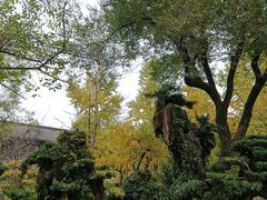 -成都武侯祠博物馆