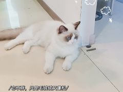 -Best U照相馆证件照·外拍(五角场店)