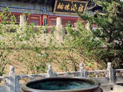 -潭柘寺景区