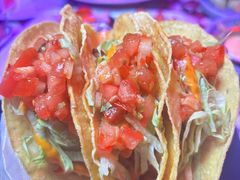 -鲨鱼美式餐厅酒吧Sharky