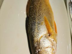 -好兄弟郭巨海鲜(天一阁店)