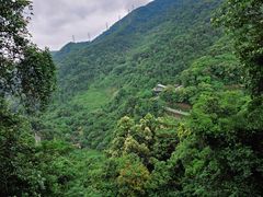 -阳台山森林公园