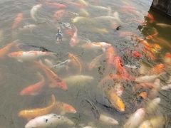 -珠海圆明新园