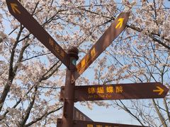-长田漾湿地公园