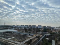 -上海浦东康桥绿地假日酒店