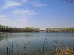 -大兴滨河森林公园