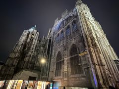 -斯蒂芬主教座堂(Stephansdom)