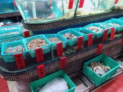 -海大大蒸汽海鲜餐厅·粤菜·特色小炒(欢乐颂店)