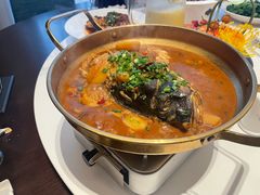 -四季春