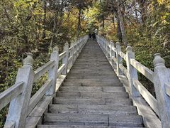 -塔云山