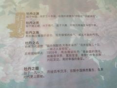 -麦德龙(闵行店)
