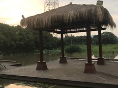 -长田漾湿地公园