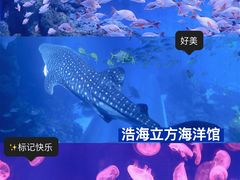 -成都浩海立方海洋公园