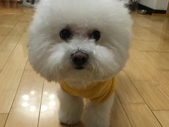 -美联众合动物医院·24h转诊中心