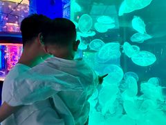 -左海海底世界