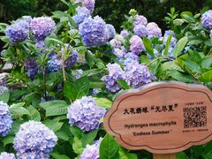 -常州古运河南大街文化旅游区-人民公园