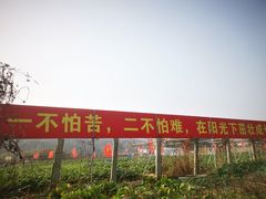 -龙寺生态园