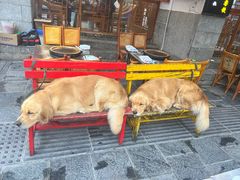 -八木轩·寻味大理白族民俗餐厅(文献路店)
