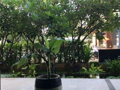 -Palate Angkor Restaurant & Bar