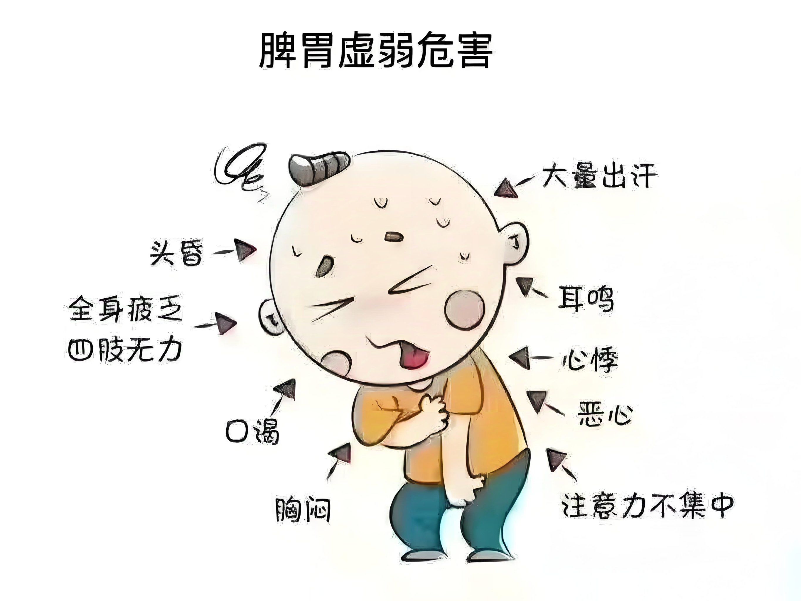 冬日养生有妙招•脾胃篇•冬日补脾胃是重中之重