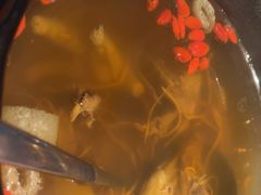 -鸽子侯·家宴·平价海鲜(市图书馆店)
