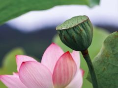 -和顺古镇