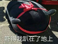 -杨小贤(五店市店)