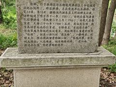 -贡湖湾湿地公园