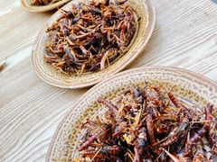-昆虫窝子·特色云南菜(拓东路总店)