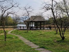 -西溪国家湿地公园