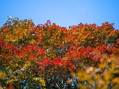 -九皇山景区