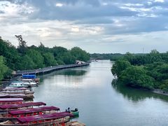 -东寨港红树林旅游区