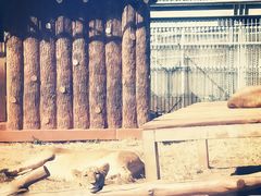 -昆明动物园